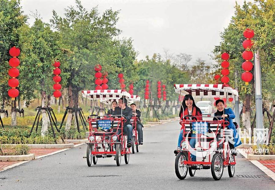 泉州市区张灯结彩迎春节 中国结式彩灯凸显年味