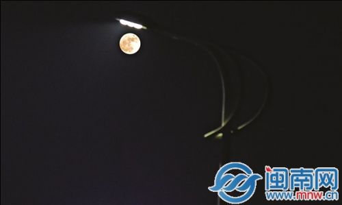 路灯下的超级月亮（摄于泉州市区）