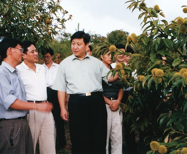 2000年9月,习近平总书记(时任福建省委副书记、省长)到挂钩帮扶点南平市政和县调研。(资料图片)